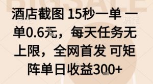 酒店截图15秒一单,一单0.6米,每天任务无上限,全网首发可矩阵单日收益3张【揭秘】-桀创项目掘金社