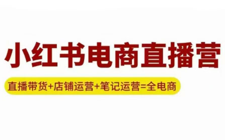 申铭老师·小红书电商直播营(更新)-桀创项目掘金社