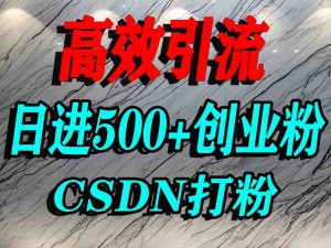 怎么打创业粉?CSDN又一个你不知道的打粉引流神秘平台,单人日引500+精准流量-桀创项目掘金社
