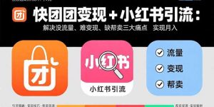快团团变现+小红书引流:解决没流量、难变现、缺帮卖三大痛点 实现月入3w+-桀创项目掘金社