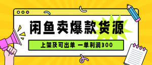 闲鱼卖爆款货源，每天利润1000，上架即出单-桀创项目掘金社