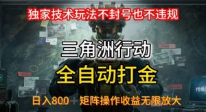 三角洲板砖揭秘项目免费送卡密-桀创项目掘金社