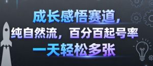 成长感悟赛道,纯自然流,百分百起号率 一天轻松多张-桀创项目掘金社