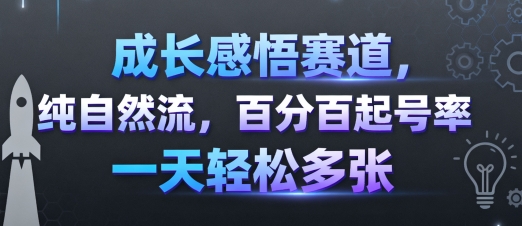 成长感悟赛道，纯自然流，百分百起号率 一天轻松多张-桀创项目掘金社