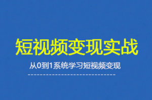 杨磊老师·2025短视频变现实战课-桀创项目掘金社