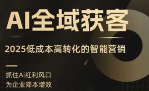 AI全域获客实训营,2025低成本高转化的智能营销,精准找客,高效营销-桀创项目掘金社