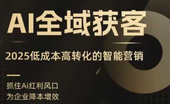 AI全域获客实训营，2025低成本高转化的智能营销，精准找客，高效营销-桀创项目掘金社