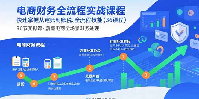 电商财务全流程实战课程：快速掌握从建账到报税的全流程技能(36节课-桀创项目掘金社
