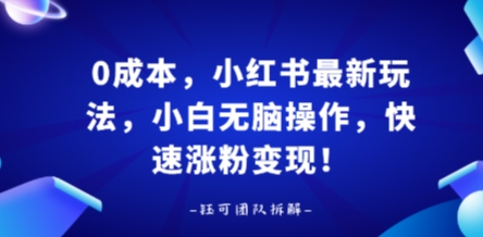 0成本，小红书最新玩法，小白无脑操作，快速涨粉变现-桀创项目掘金社