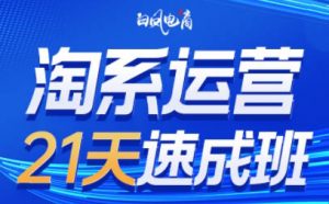 白凤电商·淘系运营21天速成班(更新9月)-桀创项目掘金社