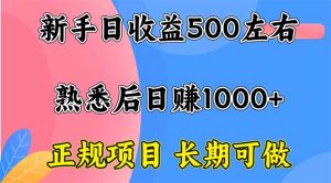 新手日收益500+ 正规项目 长期可做-桀创项目掘金社