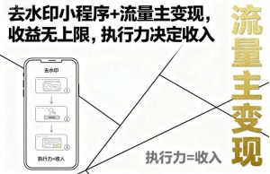 去水印小程序+流量主变现，收益无上限，执行力决定收入-桀创项目掘金社