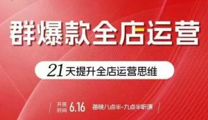 贾真电商群爆款全店运营,21天提升全店运营思维,起店、全店运营爆款不断-桀创项目掘金社