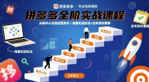 拼多多全阶实战课程,从新手小白到运营高手,海量实战玩法+全年实时更新【2025年9月更新】-桀创项目掘金社