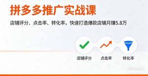 拼多多推广实战课，店铺评分、点击率、转化率，快速打造爆款店铺月赚5.8万-桀创项目掘金社
