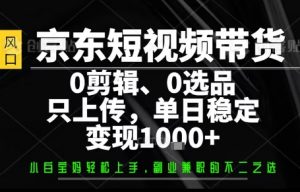 你出账号，我来运营，保底日入1k+，开启躺賺模式【揭秘】-桀创项目掘金社