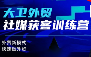 大卫老师·外贸社媒获客独家训练营(更新10月)-桀创项目掘金社