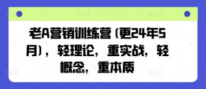 老A营销训练营(更25年10月),轻理论,重实战,轻概念,重本质-桀创项目掘金社