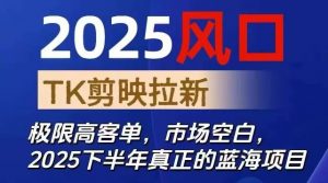 2025风口TK剪映capcut拉新项目,极限高客单,市场空白,2025下半年真正的蓝海项目-桀创项目掘金社
