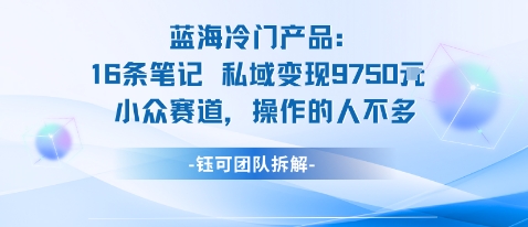 蓝海项目：16条笔记私域变现9750米小众赛道操作的人不多-桀创项目掘金社