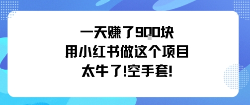 一天挣了9张用小红书做这个项目太牛了，空手套-桀创项目掘金社