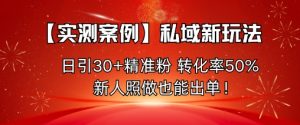 【实测案例】私域新玩法，日引30+精准粉，转化率50%，新人照做也能出单！-桀创项目掘金社