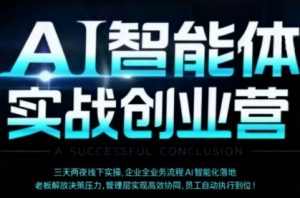 AI智能体实体战创业营(深圳9月23-25日),多维度助力老板、管理层、员工提升效能-桀创项目掘金社
