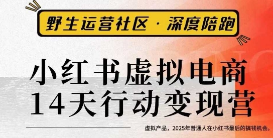 小红书虚拟电商14天变现训练营3.0，​虚拟产品，2025年普通人在小红书最后的搞钱机会-桀创项目掘金社