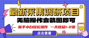 新版采集调研项目,截图上传即可,无脑操作,日收益1-2张-桀创项目掘金社