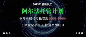 阿尔法托管计划 单账号月入3000-5000，长期稳定项目，新手小白轻松上手。-桀创项目掘金社