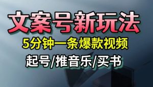 文案号新玩法，5分钟一条爆款视频，流量高，起号快，多方位变现-桀创项目掘金社
