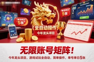 无限账号矩阵!今年龙头项目,游戏试玩全自动,简单操作,单号单日5张【揭秘】-桀创项目掘金社