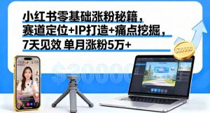 小红书零基础涨粉秘籍,赛道定位+IP打造+痛点挖掘,7天见效 单月涨粉5万+-桀创项目掘金社