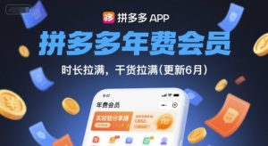 拼多多年费会员,实经验分享操,时长拉满,干货拉满(更新10月)-桀创项目掘金社