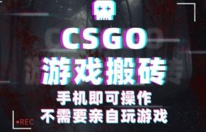 CSGO游戏挂G捡漏,单日扫货5张+,年底小高峰上车可吃肉,手机即可操作,兼职副业创业网创【揭秘】-桀创项目掘金社
