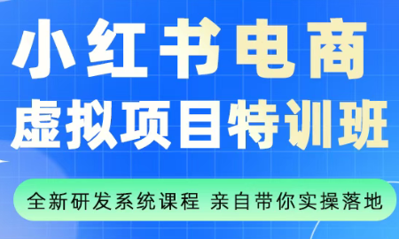 陆明明·小红书虚拟项目特训班(更新9月)-桀创项目掘金社