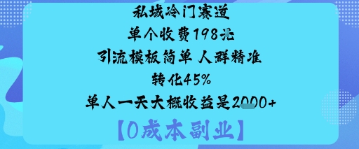 私域冷门赛道:单个收费198米引流模板简单人群精准转化45%单人一天大概收益是1k+-桀创项目掘金社