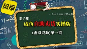 麦子甜咸鱼自助卖货实操版(虚拟资源)一个会自动搞钱的机器-桀创项目掘金社