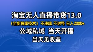 淘宝无人直播13.0,公域私域技术,不封号,不违规 布局下半年旺季赛道,日入2000+-桀创项目掘金社