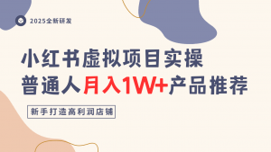 小红书虚拟项目实操指南,普通人月入1W+产品推荐,直接抄-桀创项目掘金社