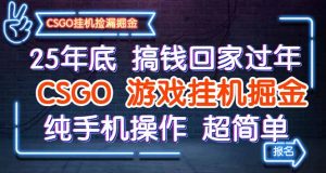25年底搞钱回家过年,CSGO游戏挂机掘金,纯手机操作超简单-桀创项目掘金社