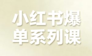 小红书爆单系列课,聚焦小红书电商全链路增长-桀创项目掘金社