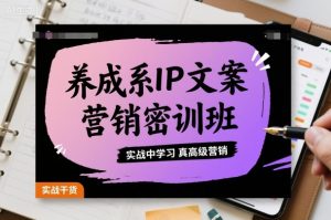 养成系IP文案营销密训班,实战中学习真高级营销-桀创项目掘金社