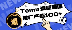 专注于Temu商家提供精准曝光浏览量,助力店铺排名提升和转化,单机日收入80-130【揭秘】-桀创项目掘金社