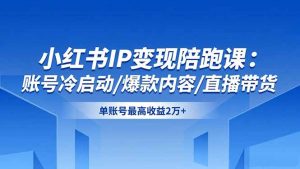 小红书IP变现陪跑课:账号冷启动/爆款内容/直播带货,单账号最高收益2万+-桀创项目掘金社