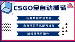CSGO全自动搬砖，年底钱回家好项目，当天可拿到结果，新手小白轻松月入1W+【揭秘】-桀创项目掘金社