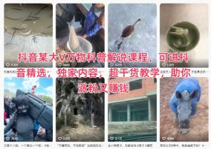 抖音某大V万物科普解说课程，可进抖音精选，独家内容，超干货教学，助你涨粉又賺钱-桀创项目掘金社