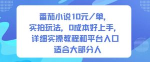 番茄小说10米每单,实拍玩法,0成本好上手,详细实操教程和平台入口适合大部分人-桀创项目掘金社