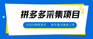 拼多多电商采集，一小时50+，操作简单，零投资-桀创项目掘金社