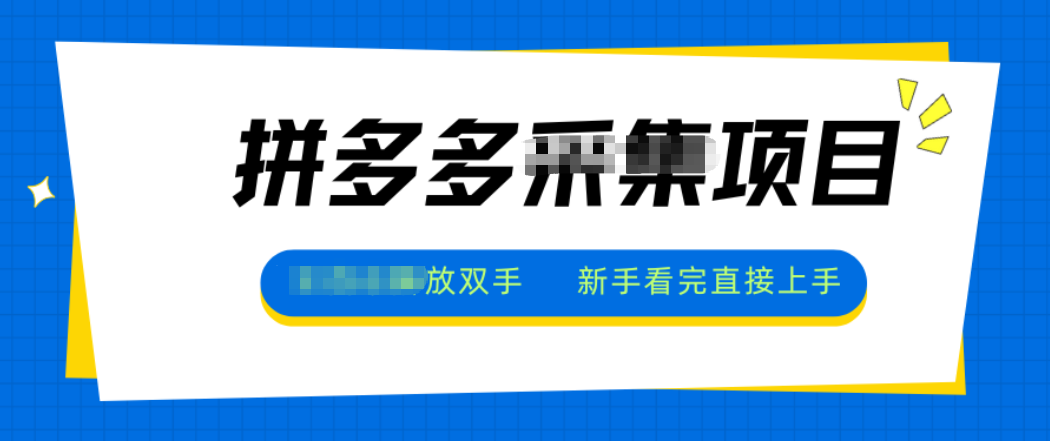 拼多多电商采集,一小时50+,操作简单,零投资-桀创项目掘金社